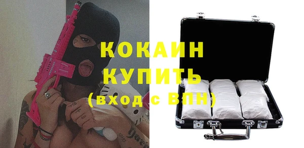 индика Алзамай
