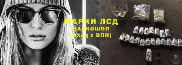 индика Алзамай