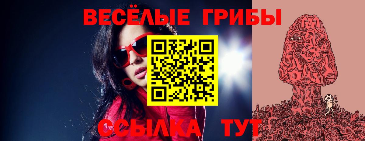 Галлюциногенные грибы мицелий  Вход с VPN  Урюпинск 