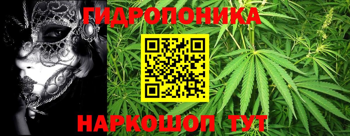 Каннабис MAZAR  Бошки марихуана индика  Урюпинск  Вход с VPN  МАРИХУАНА конопля  Шишки марихуана гибрид 